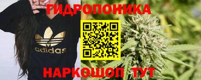 гидропоника Будённовск