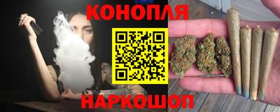 гидропоника Будённовск