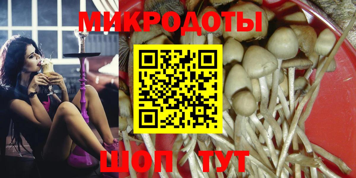 Псилоцибиновые грибы Psilocybine cubensis Унеча